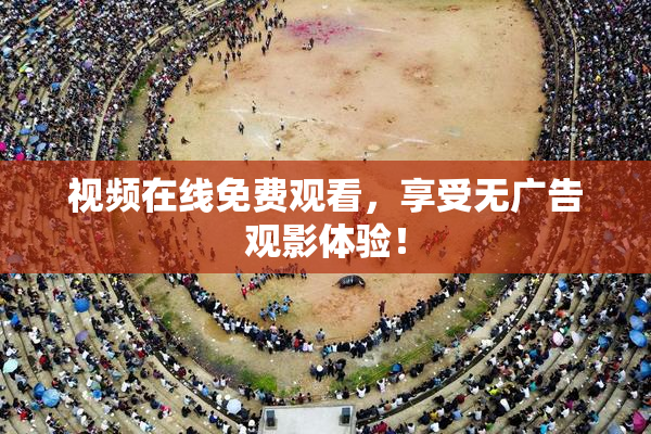 视频在线免费观看，享受无广告观影体验！