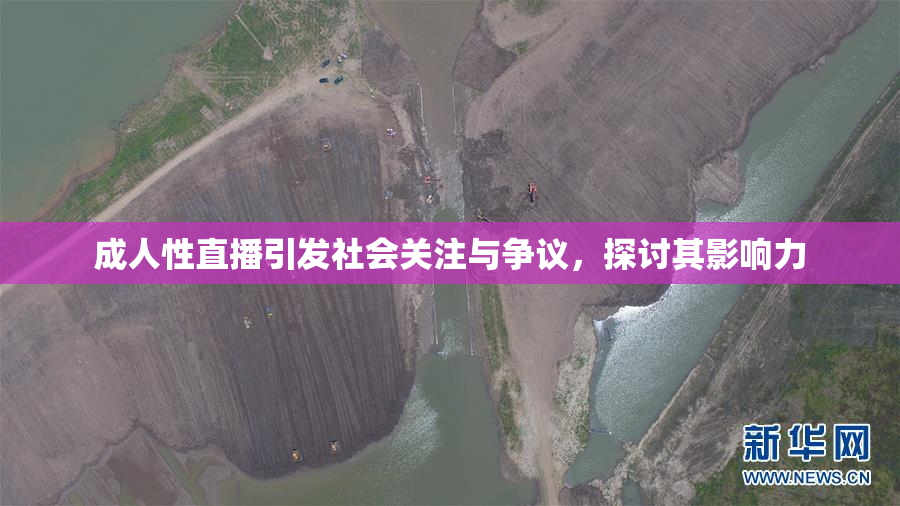 成人性直播引发社会关注与争议，探讨其影响力