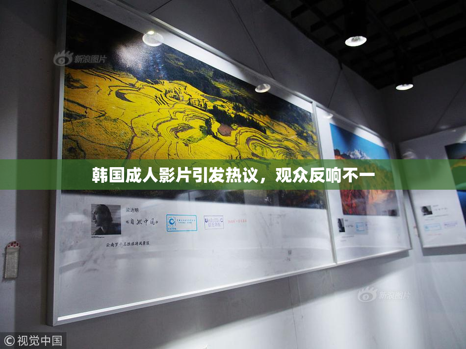 韩国成人影片引发热议，观众反响不一