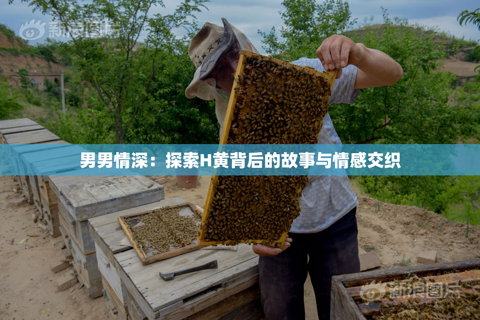 男男情深：探索H黄背后的故事与情感交织