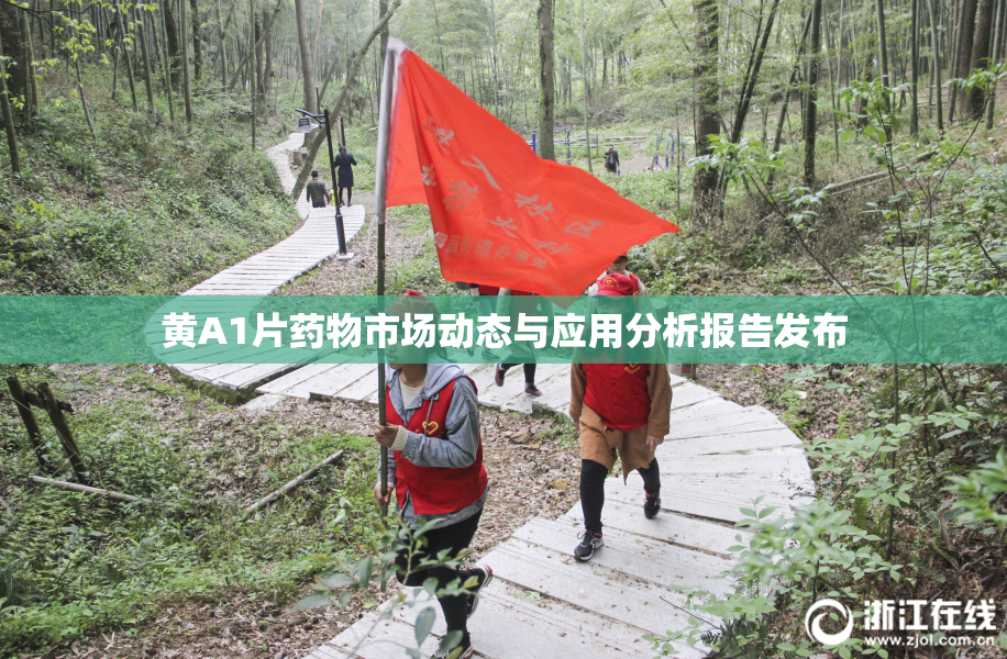 黄A1片药物市场动态与应用分析报告发布
