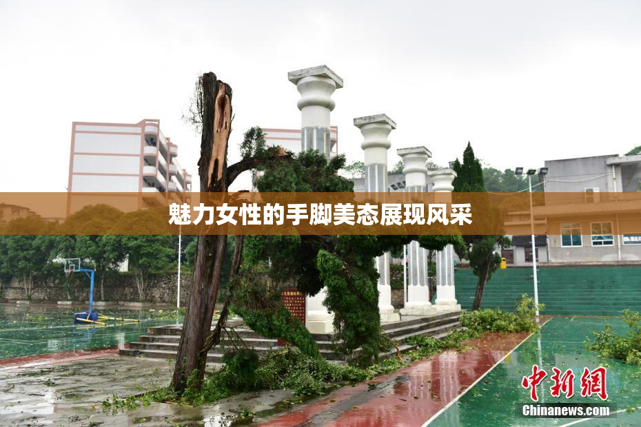 魅力女性的手脚美态展现风采