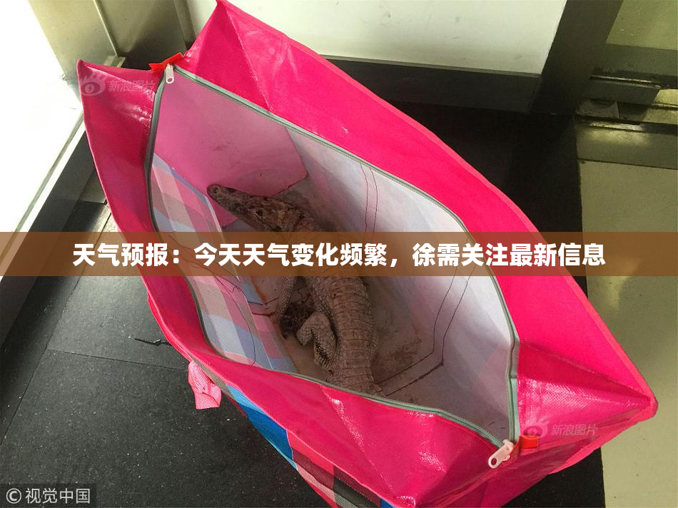 天气预报：今天天气变化频繁，徐需关注最新信息