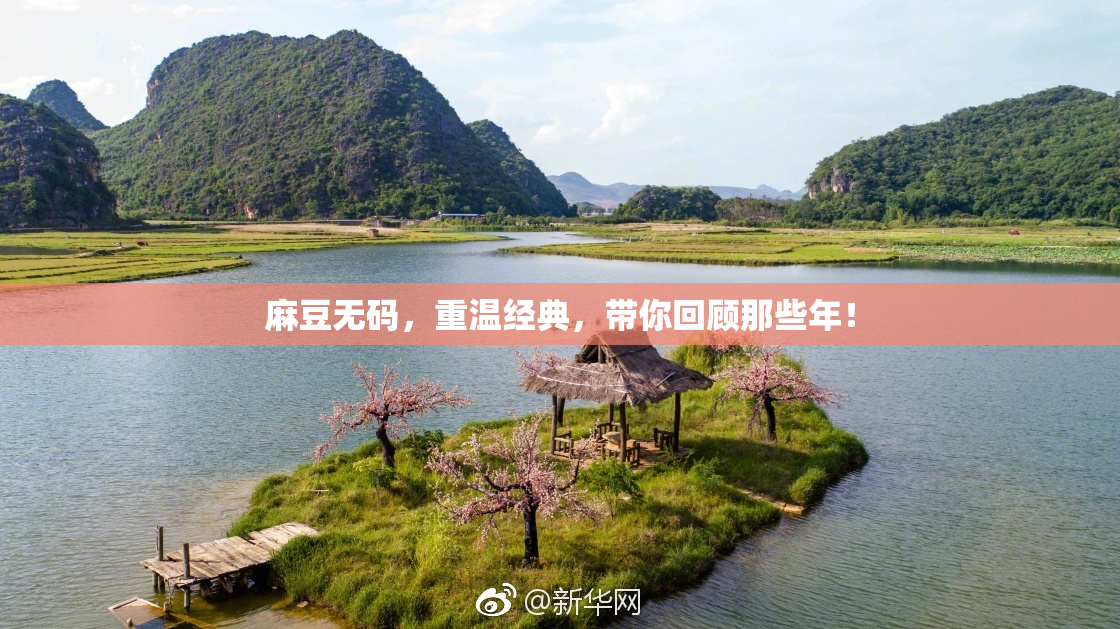 麻豆无码，重温经典，带你回顾那些年！