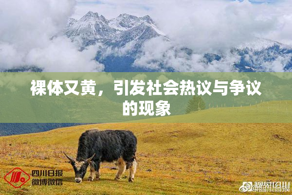 裸体又黄，引发社会热议与争议的现象