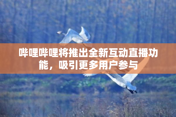 哔哩哔哩将推出全新互动直播功能，吸引更多用户参与