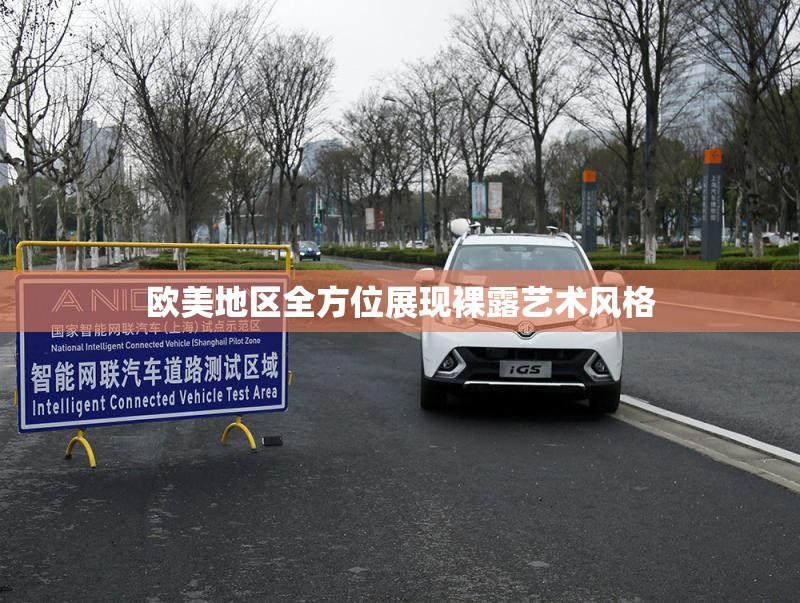 欧美地区全方位展现裸露艺术风格