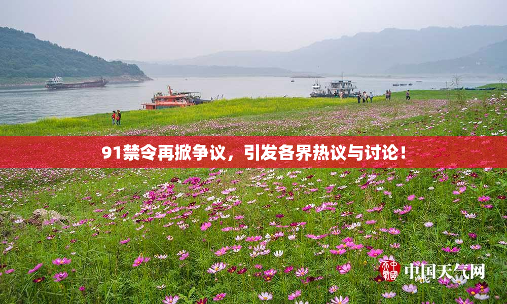 91禁令再掀争议，引发各界热议与讨论！