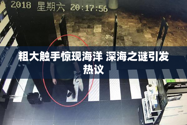 粗大触手惊现海洋 深海之谜引发热议