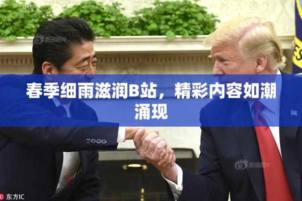 春季细雨滋润B站，精彩内容如潮涌现