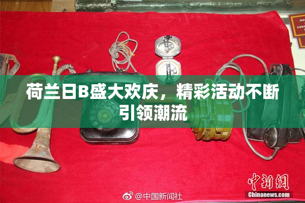 荷兰日B盛大欢庆，精彩活动不断引领潮流