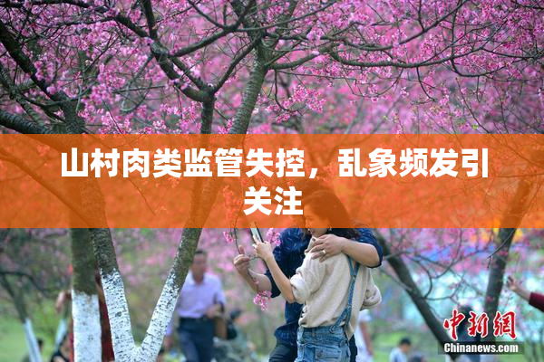山村肉类监管失控，乱象频发引关注