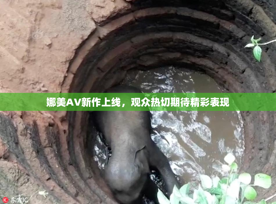 娜美AV新作上线，观众热切期待精彩表现