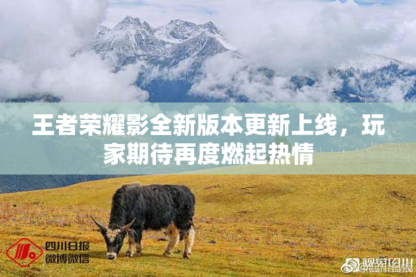 王者荣耀影全新版本更新上线，玩家期待再度燃起热情