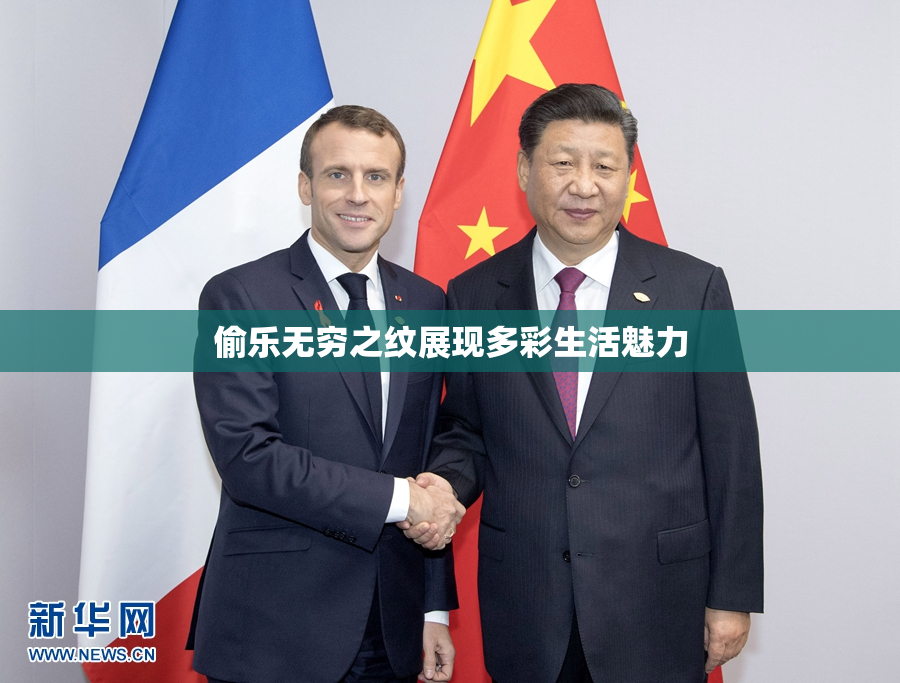 偷乐无穷之纹展现多彩生活魅力