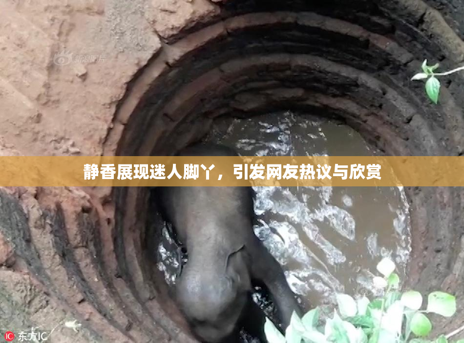 静香展现迷人脚丫，引发网友热议与欣赏