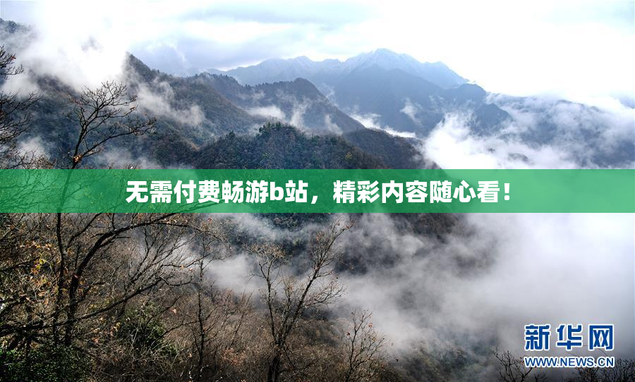 无需付费畅游b站，精彩内容随心看！