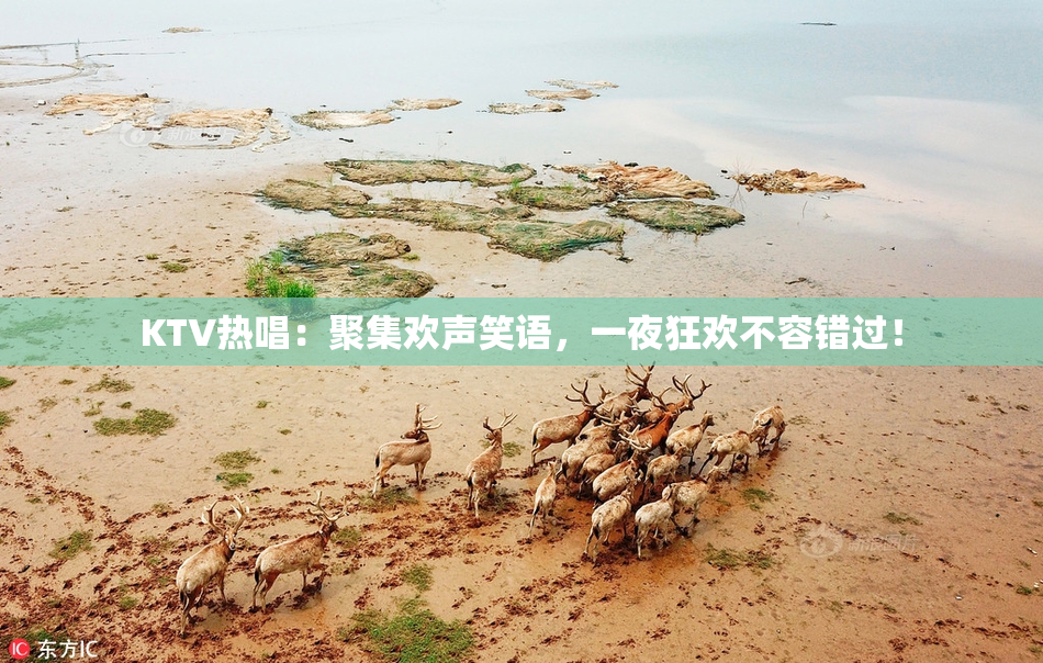 KTV热唱：聚集欢声笑语，一夜狂欢不容错过！