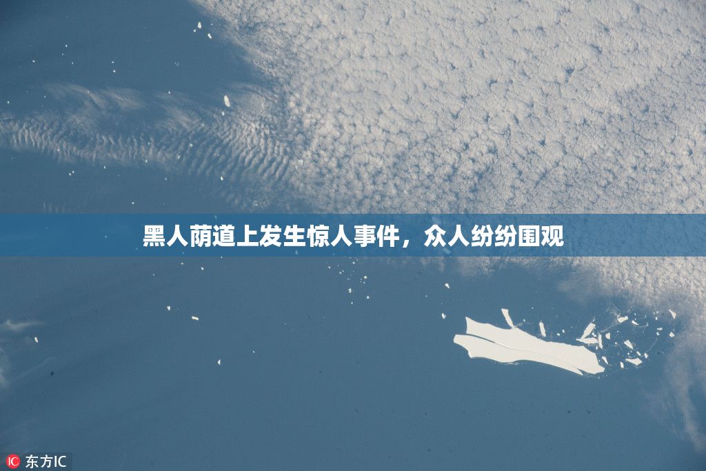 黑人荫道上发生惊人事件，众人纷纷围观