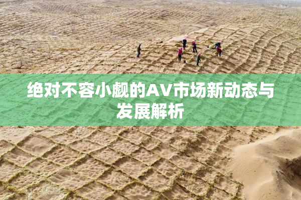 绝对不容小觑的AV市场新动态与发展解析