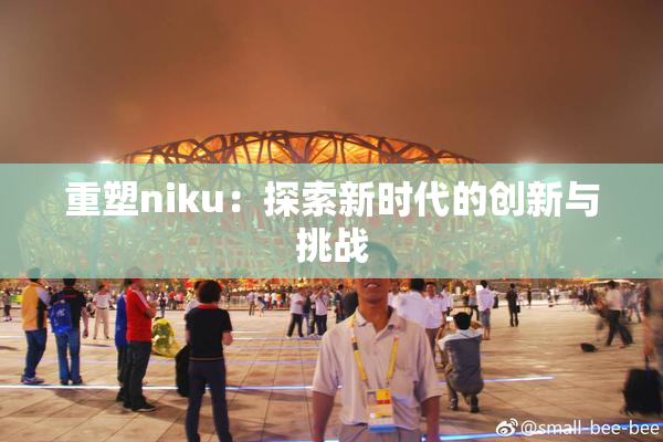 重塑niku：探索新时代的创新与挑战