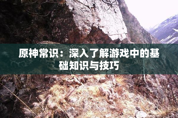 原神常识：深入了解游戏中的基础知识与技巧