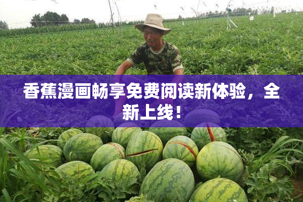 香蕉漫画畅享免费阅读新体验，全新上线！