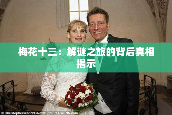 梅花十三：解谜之旅的背后真相揭示