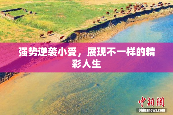 强势逆袭小受，展现不一样的精彩人生