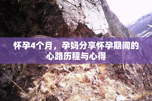怀孕4个月，孕妈分享怀孕期间的心路历程与心得