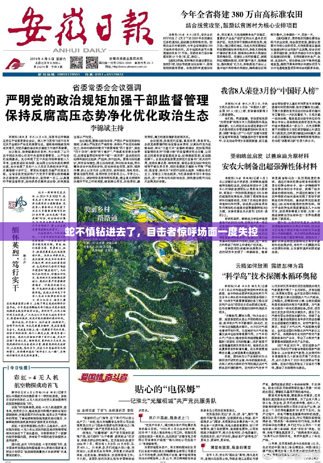 蛇不慎钻进去了，目击者惊呼场面一度失控