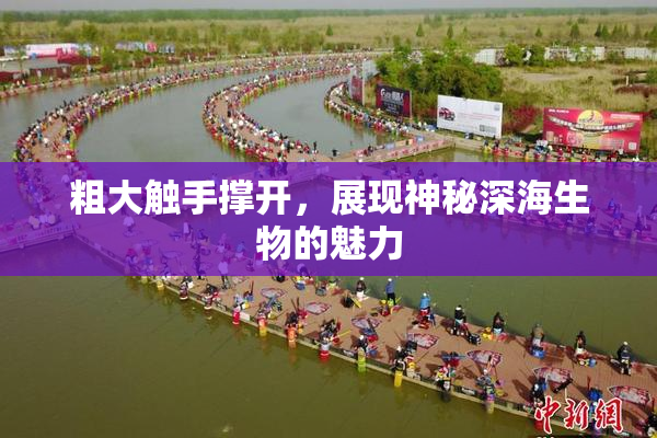 粗大触手撑开，展现神秘深海生物的魅力