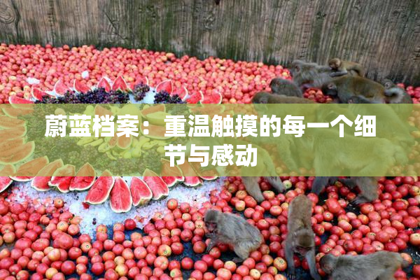 蔚蓝档案：重温触摸的每一个细节与感动