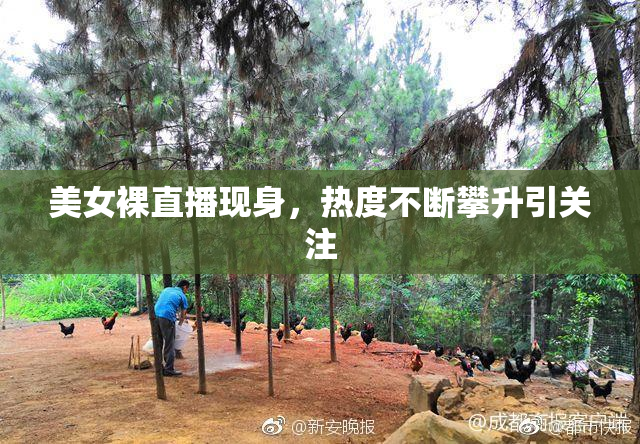 美女裸直播现身，热度不断攀升引关注