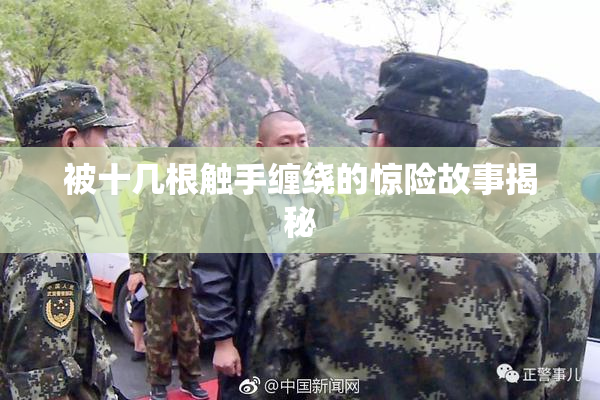被十几根触手缠绕的惊险故事揭秘