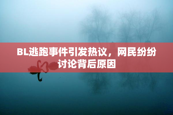 BL逃跑事件引发热议，网民纷纷讨论背后原因