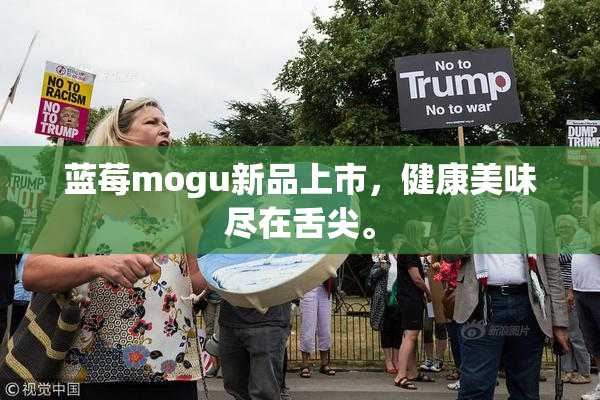 蓝莓mogu新品上市，健康美味尽在舌尖。