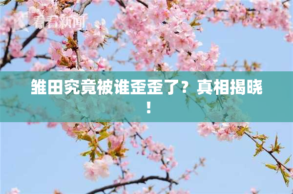 雏田究竟被谁歪歪了？真相揭晓！