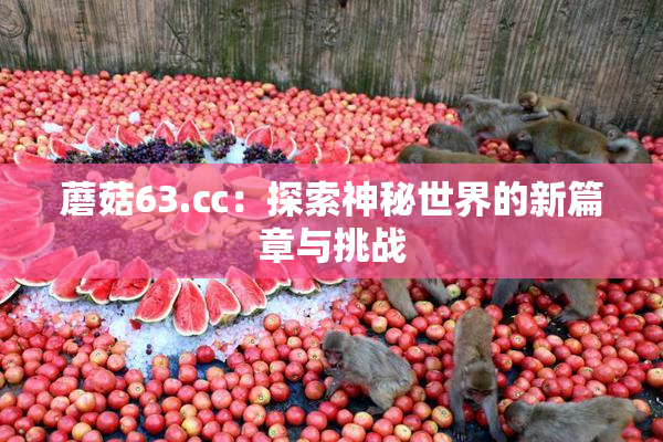 蘑菇63.㏄：探索神秘世界的新篇章与挑战