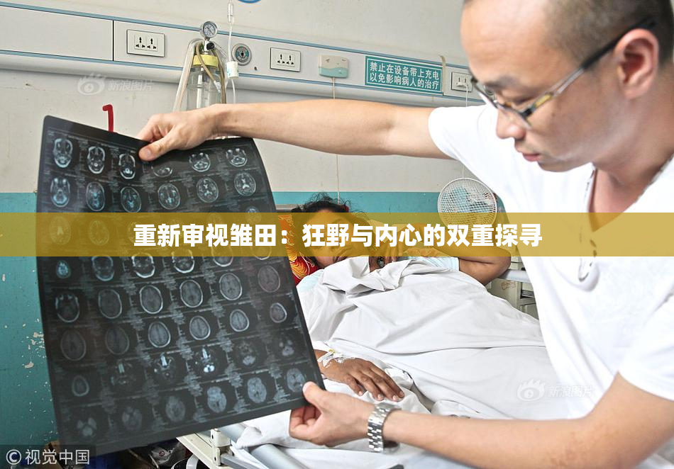 重新审视雏田：狂野与内心的双重探寻