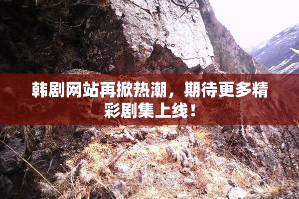 韩剧网站再掀热潮，期待更多精彩剧集上线！