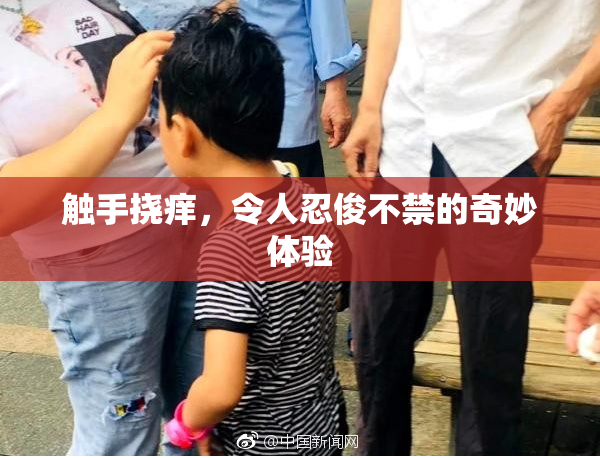 触手挠痒，令人忍俊不禁的奇妙体验