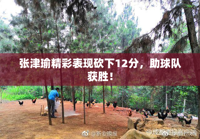张津瑜精彩表现砍下12分，助球队获胜！
