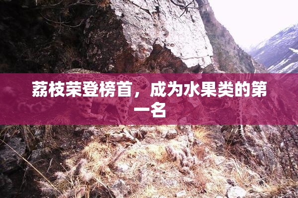 荔枝荣登榜首，成为水果类的第一名