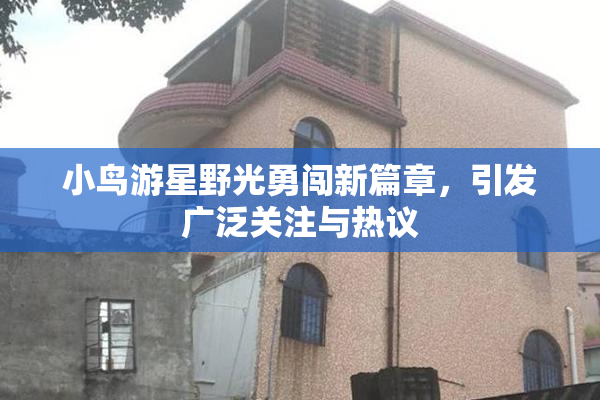 小鸟游星野光勇闯新篇章，引发广泛关注与热议