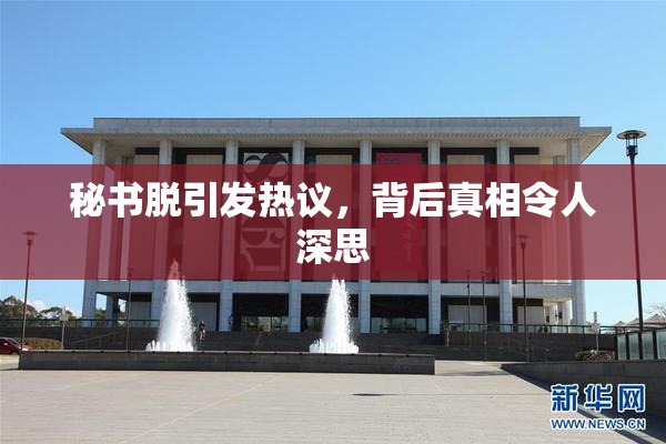 秘书脱引发热议，背后真相令人深思