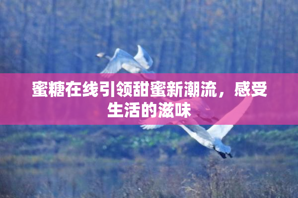 蜜糖在线引领甜蜜新潮流，感受生活的滋味
