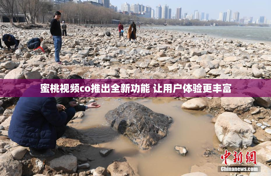 蜜桃视频co推出全新功能 让用户体验更丰富