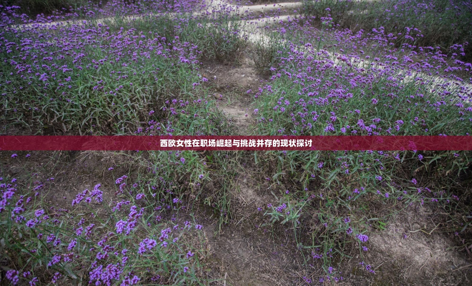 西欧女性在职场崛起与挑战并存的现状探讨