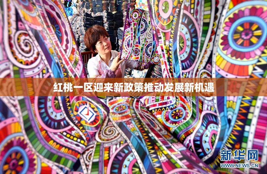红桃一区迎来新政策推动发展新机遇